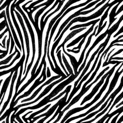 Best reviews of 🌟 Black & White Zebra Cotton Fabric Bundle by Loops & Threads™ ⌛ -Crafted Loops Sales Store 10631337 3